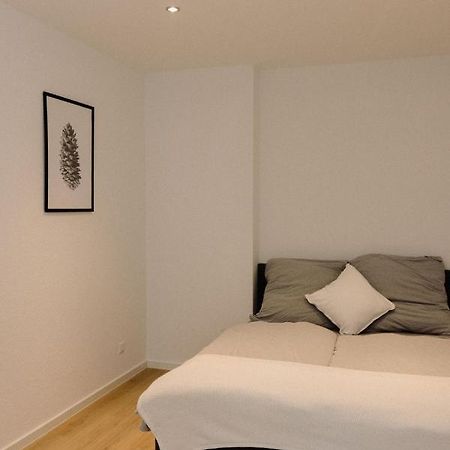 130M² Apartment Im Zentrum + Terrasse Lipcse Kültér fotó